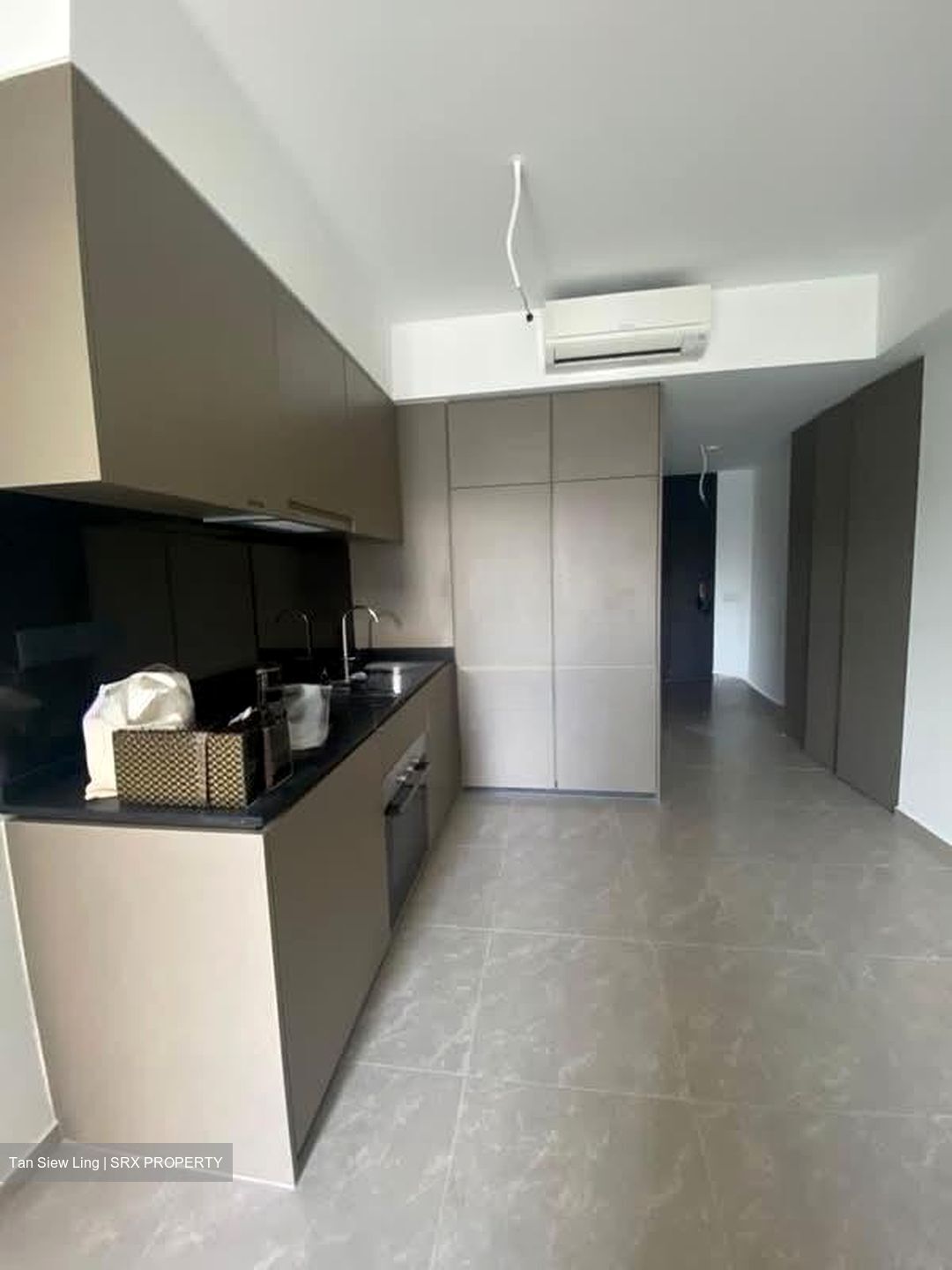 Park Colonial (D13), Condominium #529742841
